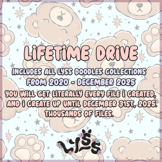 Lifetime up to 2025 Drive.