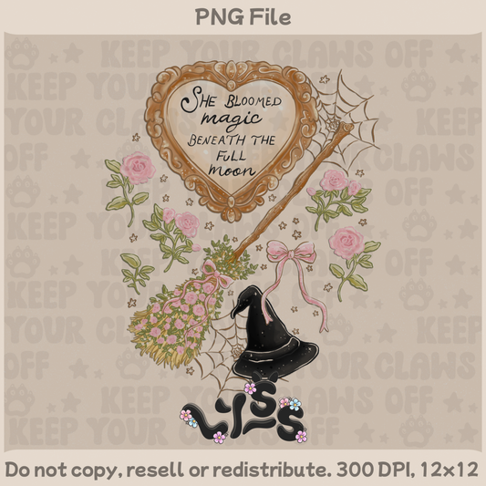2025 - Lyss Doodles -  PNG Files - Blush & Broom - 25LD053